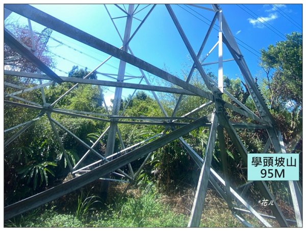 金龍湖、鷹石尖、老鷲尖、內溝山 O型一圈2966593