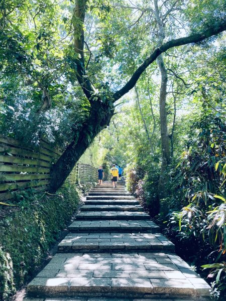 20250928 九五峰-拇指山-象山2903905