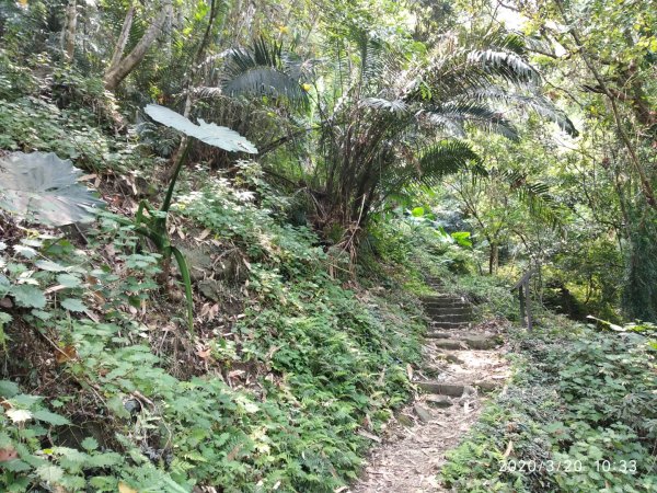 步道巡訪員 l 崁頭山步道884625