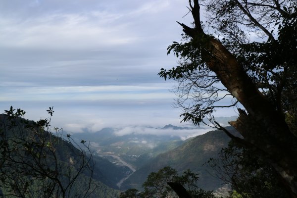 2017/12/02 上島山 (鳥嘴山)499865