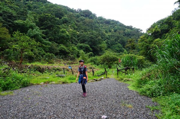 淡蘭古道中路O型988537