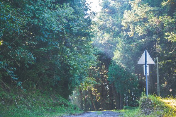 20191004~06-[新竹] 500塊上的大霸尖山1817034