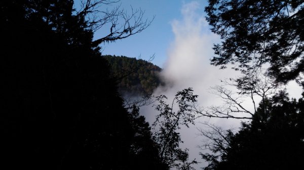 20190124太平山見晴懷古步道512491