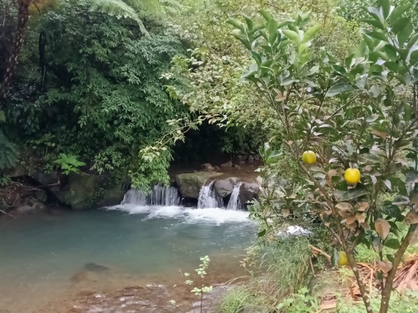雙溪區后番子坑古道+后番子坑山+平湖東步道+大坑山+下內平林山+上內平林步道出平水2972932
