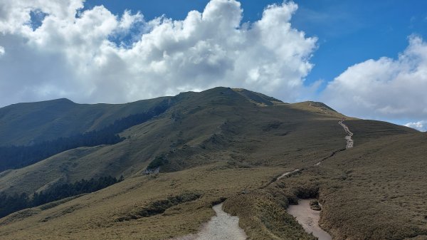合歡山北峰1377986
