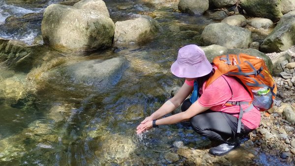 (姨婆趴趴走)第二十一集:桃園復興高遶溪古圳步道、新柑坪山、牛背岩環狀縱走2252292