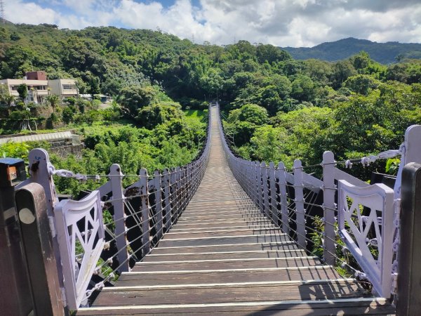 2023/6/26（ 小百岳）：［大崙頭山］+［鯉魚山］2202338