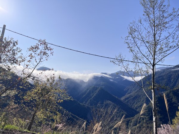 ~ 上帝的部落 - 司馬庫斯 ~3023497