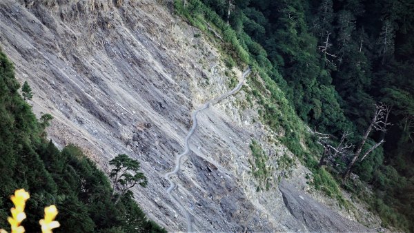 不一樣的角度欣賞奇萊南華之美登尾上山上深堀山經能高越嶺道兩日微探勘O型1886419