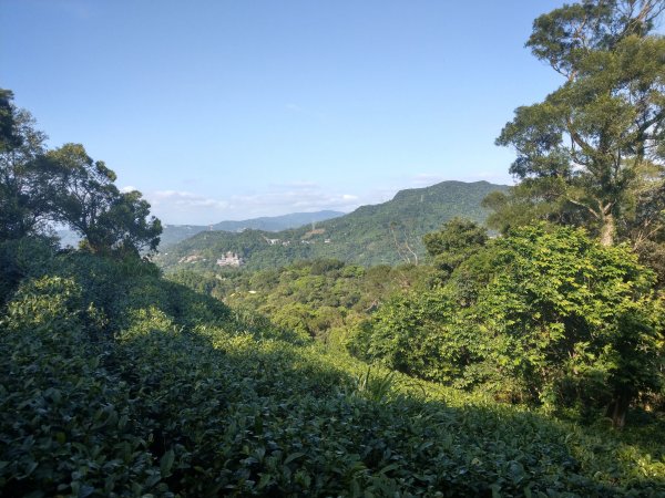 貓空隨意行［樟湖步道、待老坑山、杏花林、明德宮、樟山寺］及政大小坑溪親水文學步道(2021/4/6)1417882