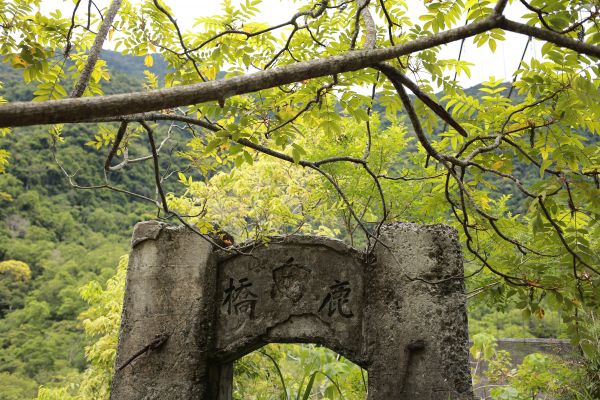 八通關越道：鹿鳴吊橋169761