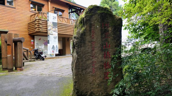 阿里山森遊區-祝山,對高岳步道2536999