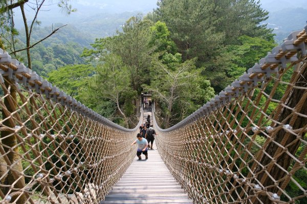 大坑四號步道_頭嵙山3079499