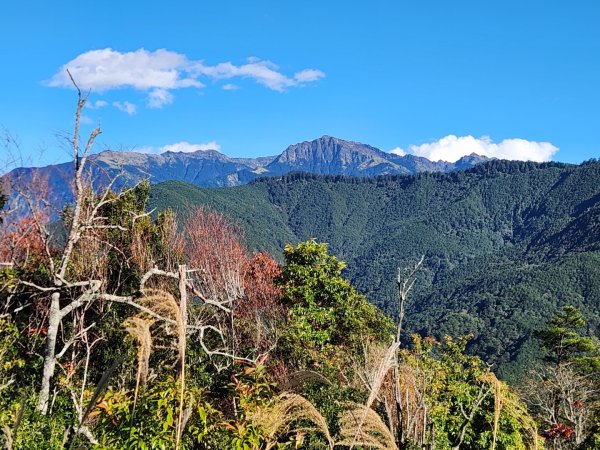 【中級山縱走】羅馬縱走，走進神木的夢幻童話森林世界2943254