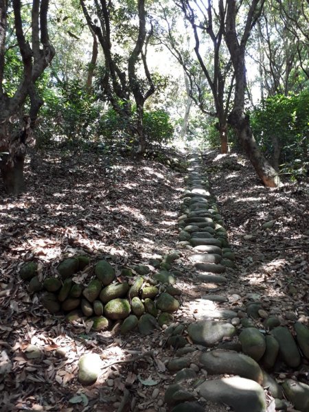 彰化芬園挑水古道碧山古道20190630620213