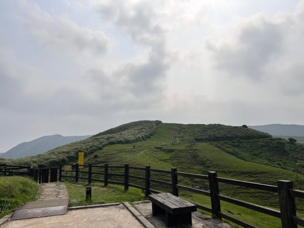 臺北大縱走第三段 小油坑》風櫃嘴2478266