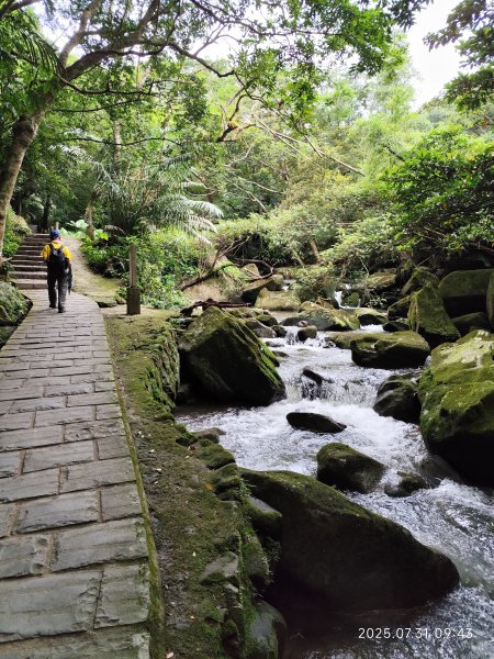 大湖公園→大溝溪生態治水園區→圓覺寺步道→圓覺瀑布→圓覺寺→鯉魚山步道【臺北大縱走 4、臺北健走趣】2849095