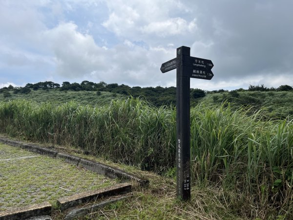[走遍陽明山]2023_0723 冷擎步道2317517