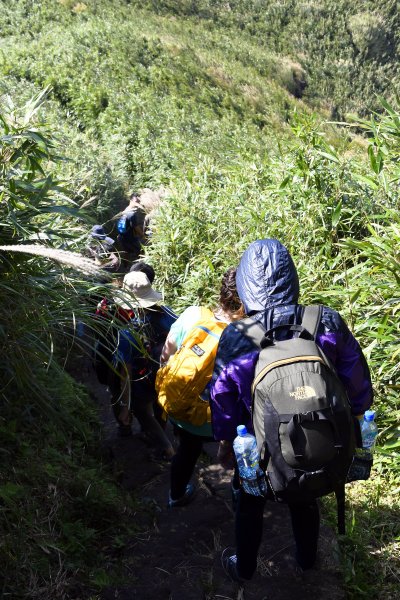 陽明山縱走東段（大崎頭至苗圃）515155