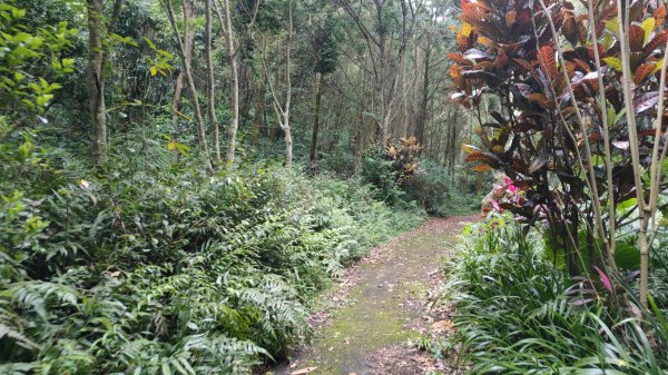 飛沙縱走33連峰2025年4月13日2760323