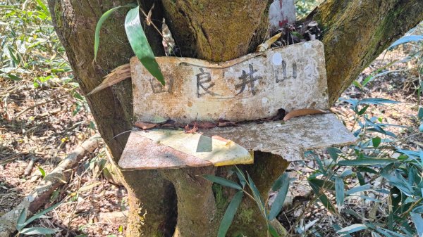 田良井山六連峰(屏東三地門) 探勘初體驗2025年3月9日2731548