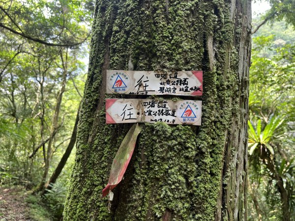 [淡蘭古道] 2025_0802 南路第四段2850949