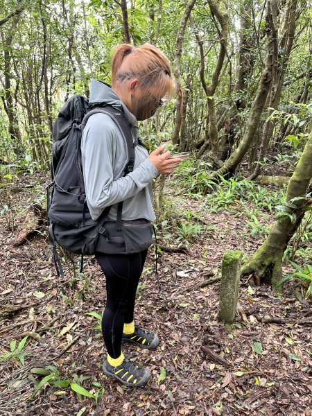 舊白鷺部落-久保山-久集山-棚集山-丹林 2025.8.72863995