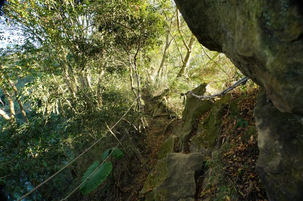 苗栗 卓蘭 大克山2967899