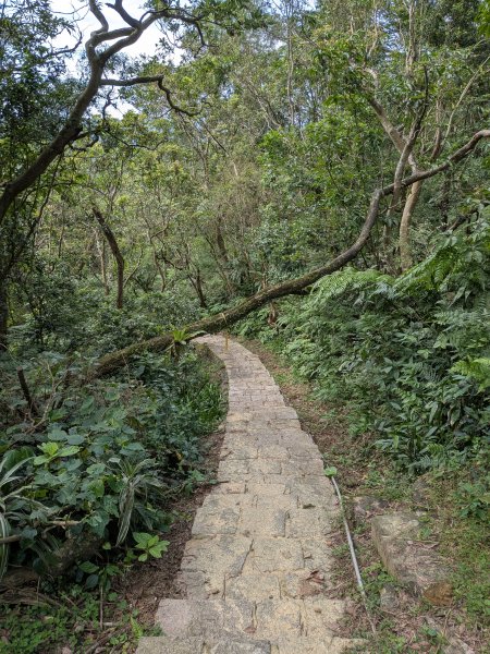 2025-06-01 五進五出九五峰2804165