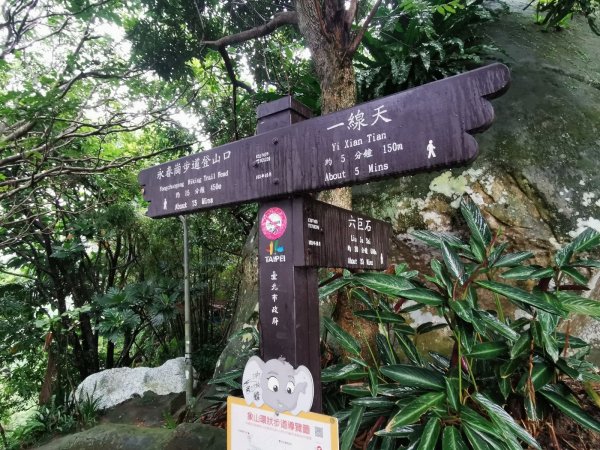 雨中漫步北部山岳-二格山、土庫岳、象山道1136802