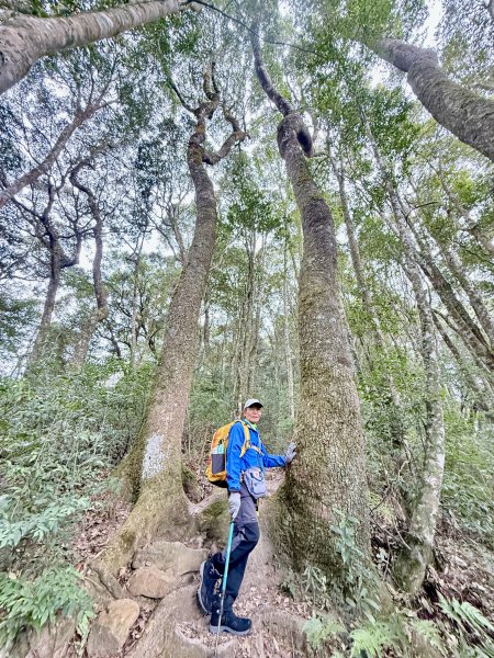 撒落一路楓紅-稍來山    2026.01.012976366