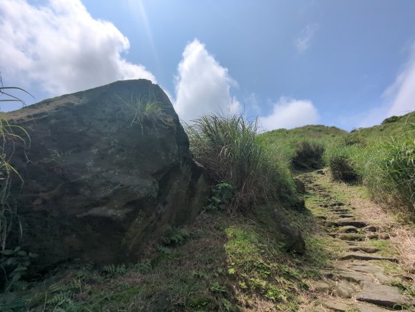 2025.04.27－金包里大路~小油坑縱走2770921