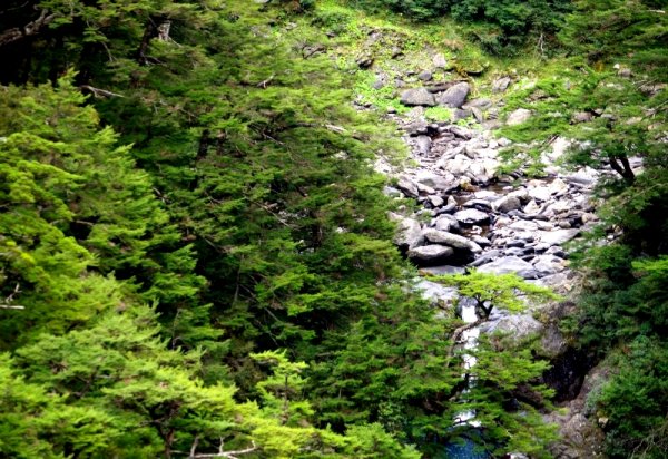 山風15度C吹拂 ~ 合歡溪 步道1551779