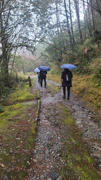 2025-0222 翠峰湖環山步道2718633