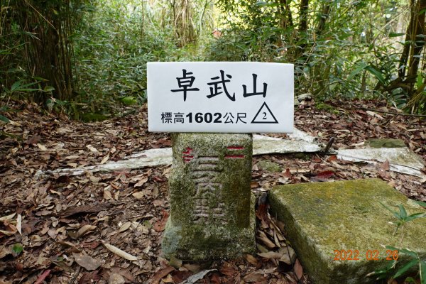 嘉義 阿里山 卓武山