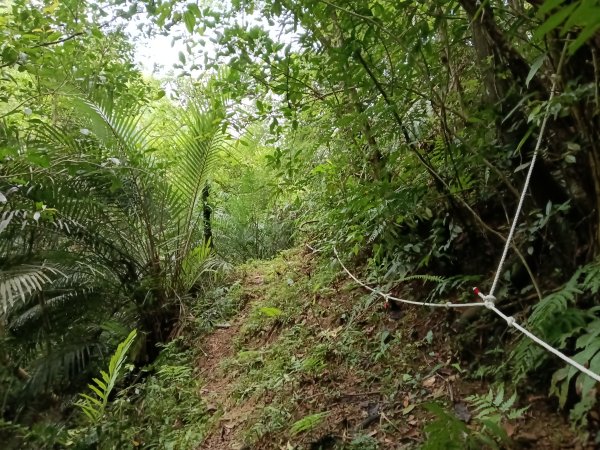 平溪區平溪子山遇雷雨O型2850091
