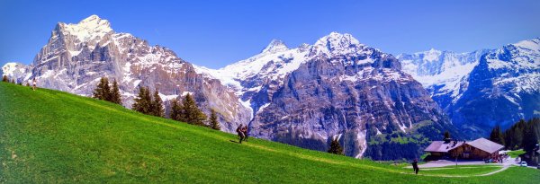 2019瑞士大健走Swiss Alps613639