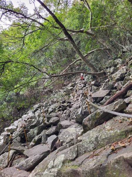 2025.11.30 谷關七雄 No.4 波津加山，不給休的蜂2952124