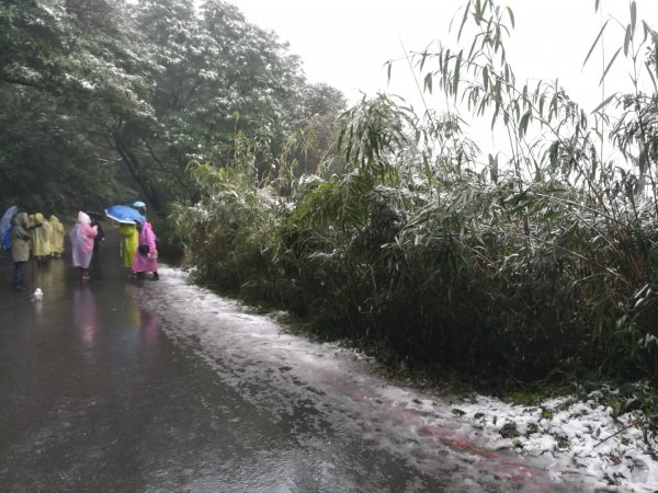 20210108冰封大屯山1232008