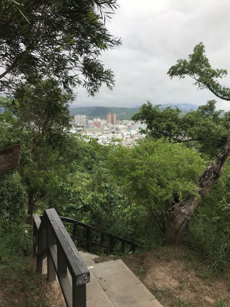 2019.09.07 台東市 鯉魚山步道679528