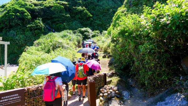 龜山島401高地2825540