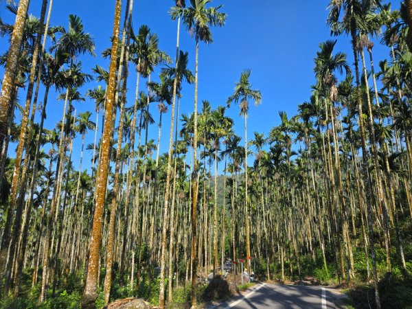 九龍山連走大凍山2955731