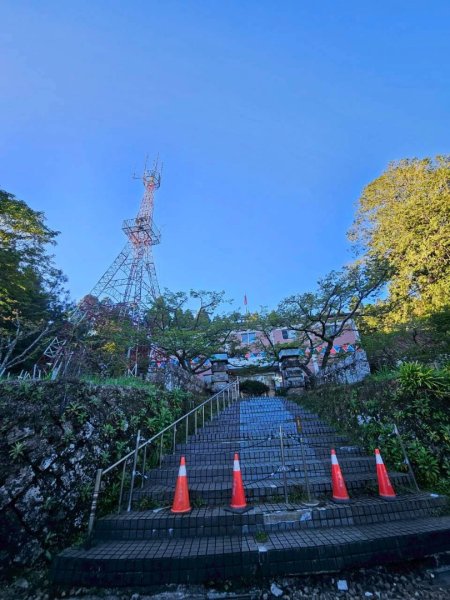 20260413🚂阿里山眠月線健走 姐妹潭 水山巨木療癒步道3036306