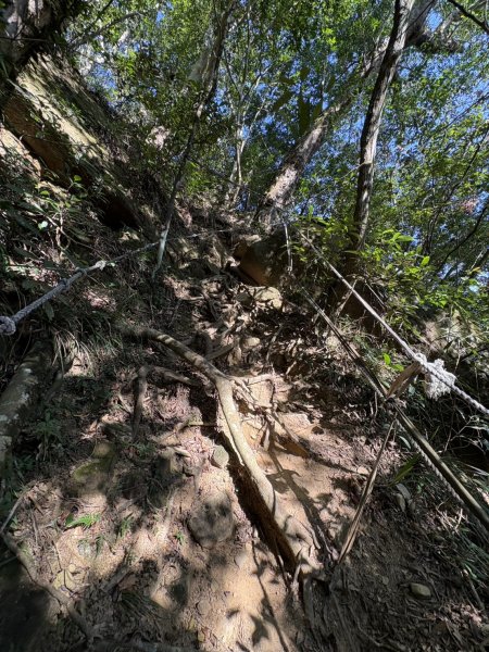 20251123台南－獵鷹尖一線天步道2944553