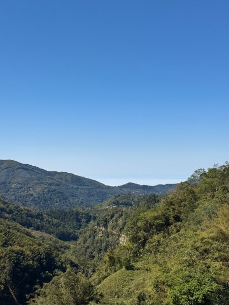 20250216瑞峰瑞里健行2730535