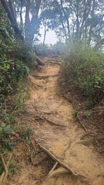 2025-0208聚興山小百岳2710891