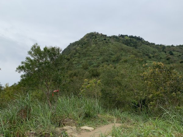 鵲子山（宜蘭礁溪）（小百岳）2530126