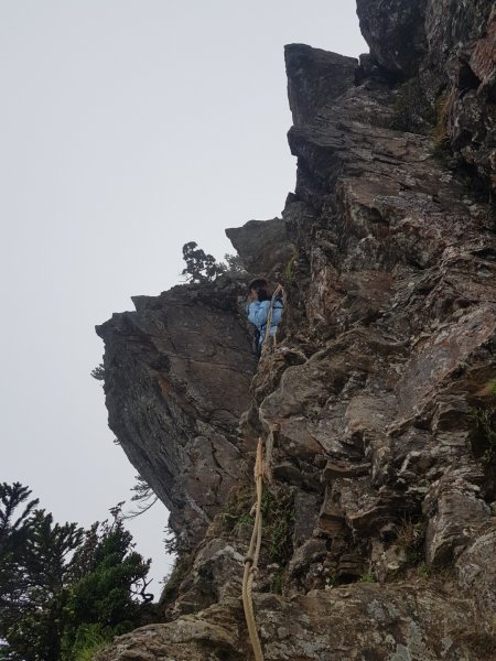 畢羊縱走-畢祿山羊頭山（百岳×9、10）1000561