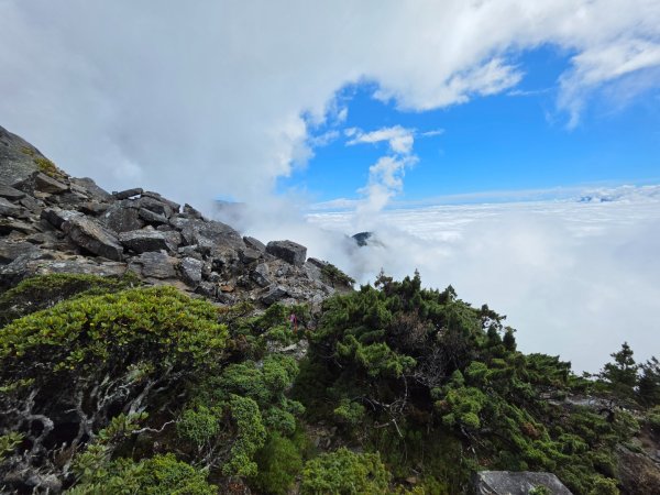 庫哈諾辛山 關山嶺山 溪頭山3135616