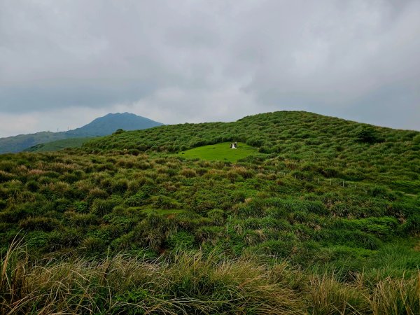2026年臺北大縱走第三段：小油坑至風櫃口3037887